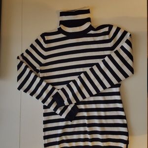 The Limited long sleeved turtleneck sweater, M.